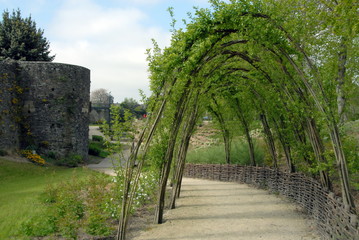 Ville de Dol de Bretagne, Promenade Jules Revert, arbres en arceaux, département d'Ille-et-Vilaine, Bretagne, France