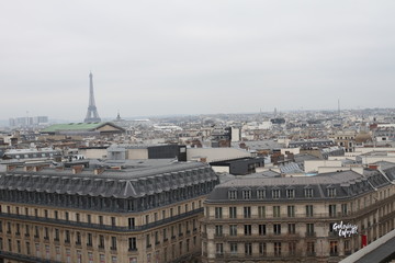 Paris from rooftop