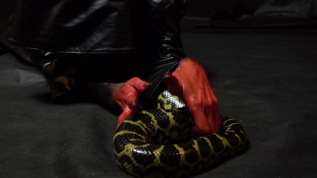Crawling python and woman in black