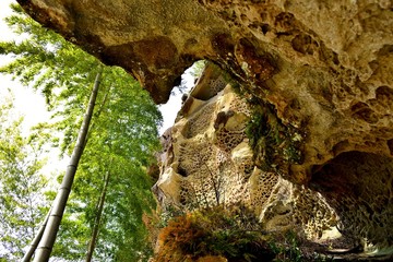 蜂の巣みたいに侵食された和歌山の奇岩：虫喰岩