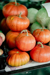 pumpkin on the counter