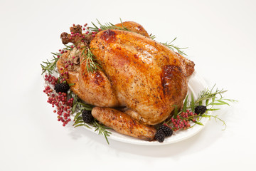 Thanksgiving Turkey on White