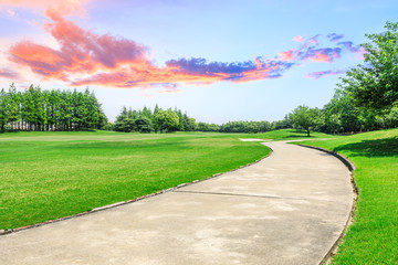 Cement road and green meadow with forest in city park - obrazy, fototapety, plakaty