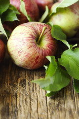 Apples with leaves