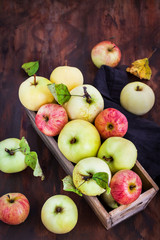 Fresh ripe colorful apples in wooden box on rustic background
