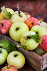Fresh ripe colorful apples in wooden box on rustic background