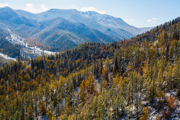 Autumn forest in foothills of North Chuya ridge, Altai Republic, Russia.