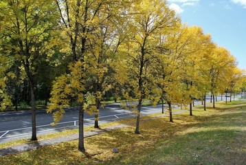 Fototapeta na wymiar Fall colors on a scenic parkway