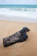 solid wood at the beach