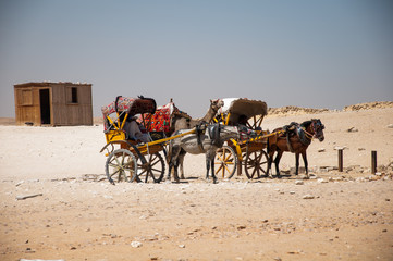 carriage at the dessert
