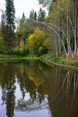 Obraz premium lake in the forest