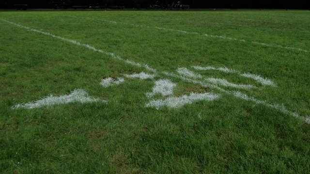 20 yardline grass slider