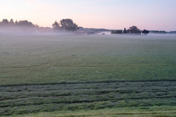 natural landscape with fog