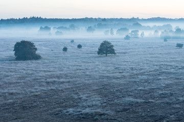 The Kalmhoutse heather park
