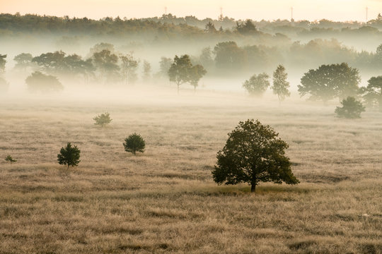 The Kalmhoutse heather park