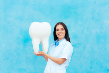 Female Dentist in White Coat with Big Molar Tooth Model