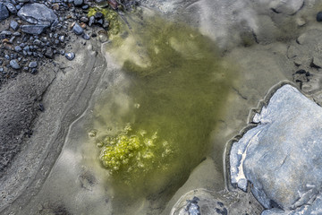 Water with green moss