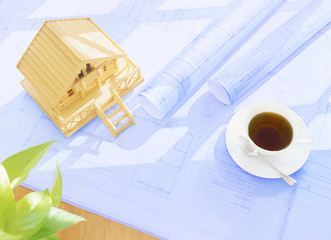 blueprint and model house