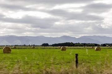 Hay bales on a field