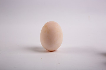 Egg Isolated on White Background