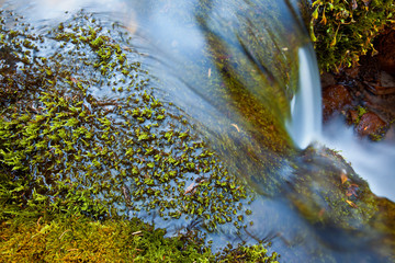 Small mountain stream surrounded by moss covered rocks