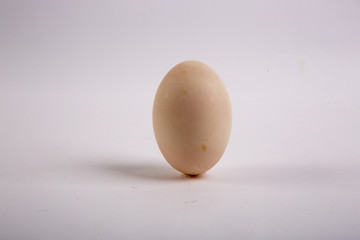 Egg Isolated on White Background