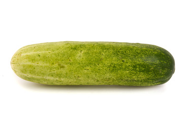 cucumber isolated