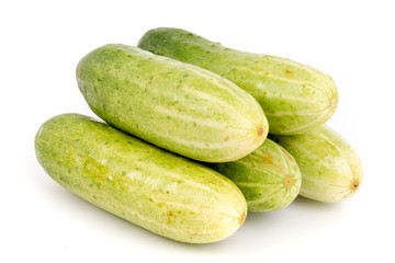 cucumber isolated