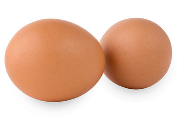 eggs on white background