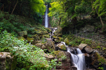 養老の滝