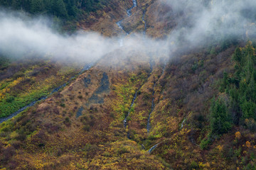Fototapeta premium A mountain side covered in colorful autumn trees and shrubs, British Columbia, Canada