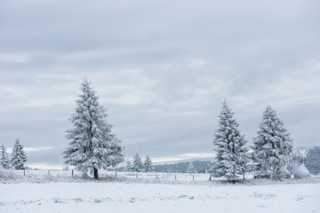 Fototapeta premium Fairy snowy winter Christmas landscape