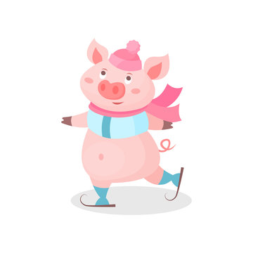 Funny pig skating wearing knitted hat and scarf, cute little piglet cartoon character vector Illustration on a white background