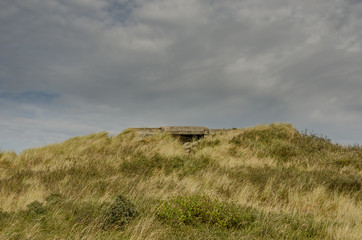 Obraz premium German bunker hidden in the dunes of Terschelling