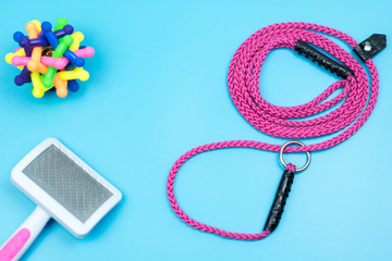 Pet leash with accessories on color background.