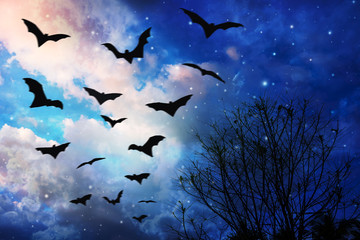 Halloween background.