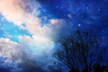 Obraz na płótnie Canvas night sky with stars.