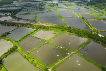 Aerial view Fish hatchery pond