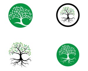 Tree icon concept of a stylized