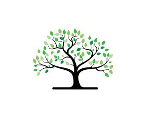 Tree icon concept of a stylized