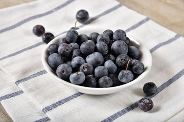 Fresh Blueberries