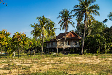 Fototapeta na wymiar Kambodscha - Landausflug nordöstlich von Siem Reap