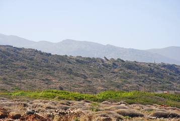rural landscape on a hill near sisi on the greek island crete