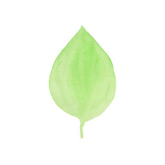 Watercolor green leaves of trees. - 225273940