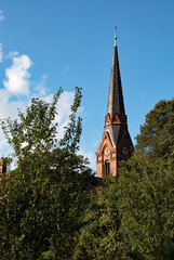 Altenwerder Kirchturm im Vodergrund Apfelbäume