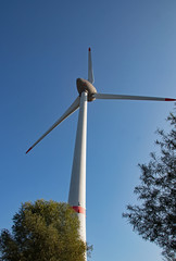 Windrad mit Baum, Dunkelblauer Himmel