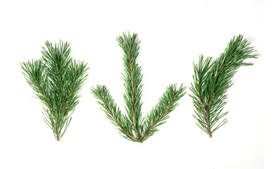 Christmas composition. Christmas tree branch, pine cones, fir branches on white background.