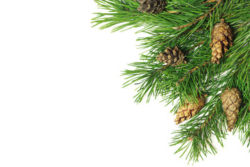 Fototapeta na wymiar Christmas composition. Christmas tree branch, pine cones, fir branches on white background.