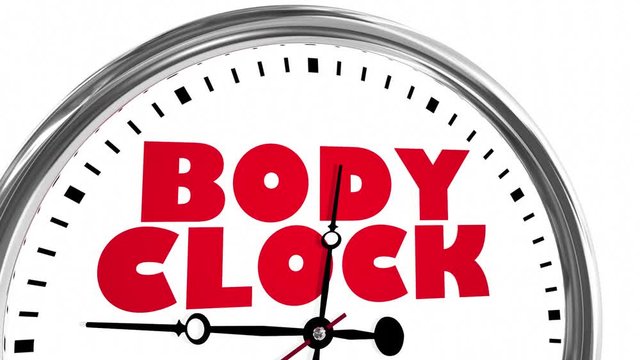 Body Clock Health Timer Lifestyle Living 3d Animation