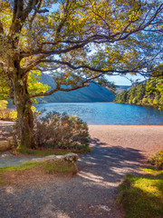 Morning at Upper Lake in Glendalough, Wicklow Mountains - Ireland